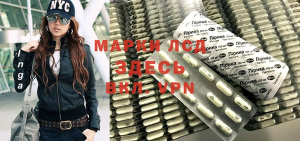 прущие грибы Алексеевка
