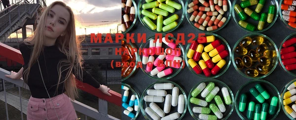 прущие грибы Алексеевка