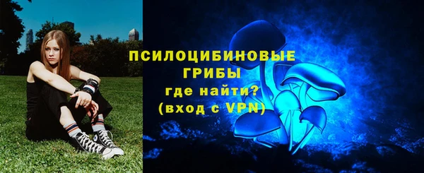 прущие грибы Алексеевка