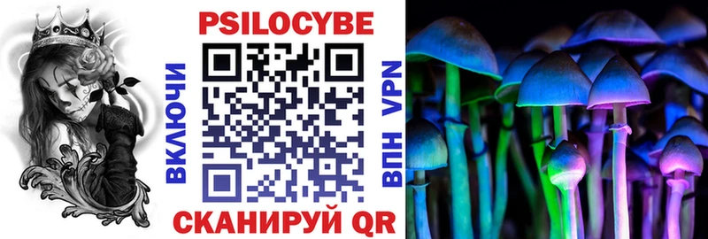 Псилоцибиновые грибы Cubensis дарнет шоп Нолинск
